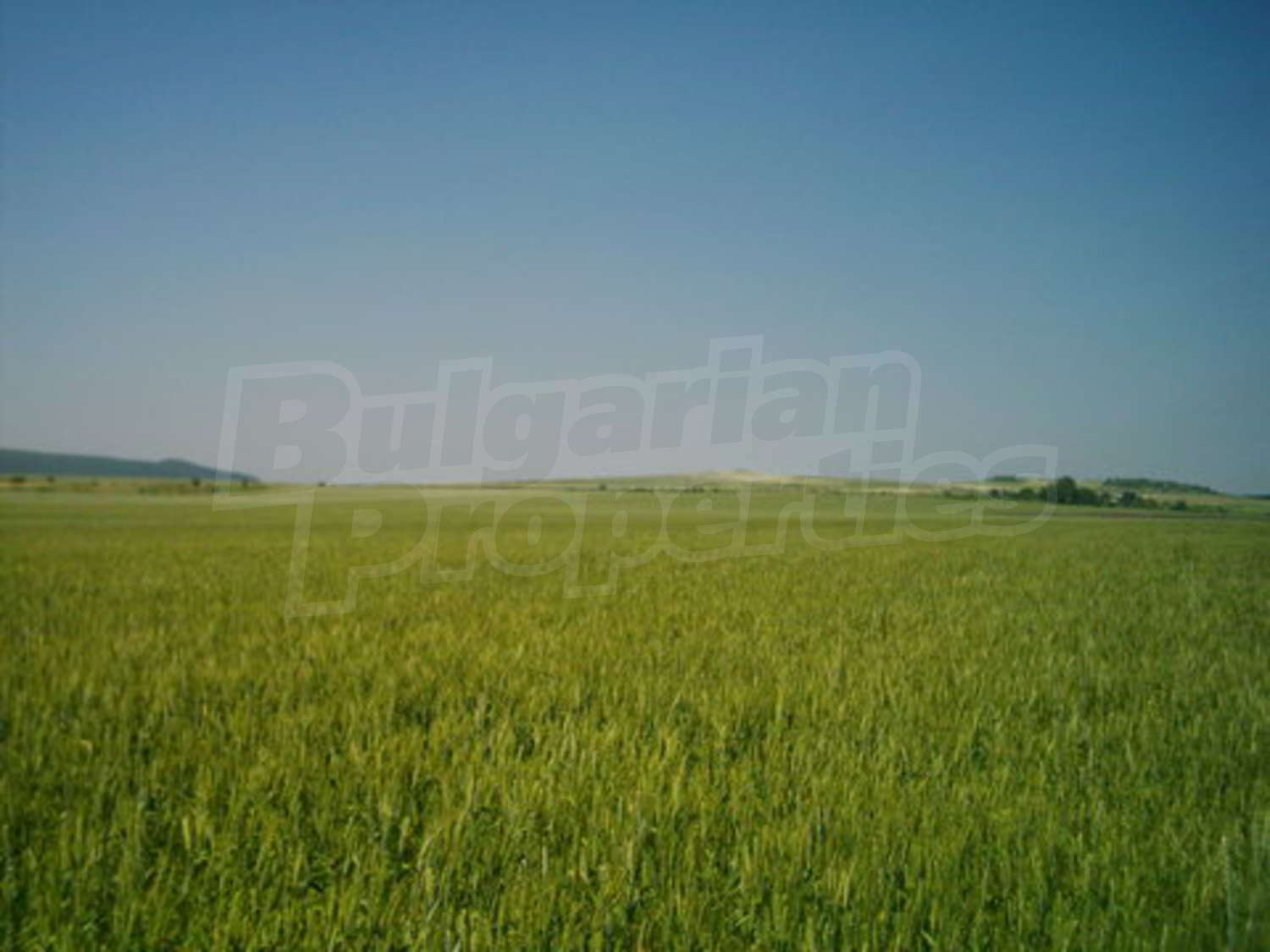 Gallery Picture 6