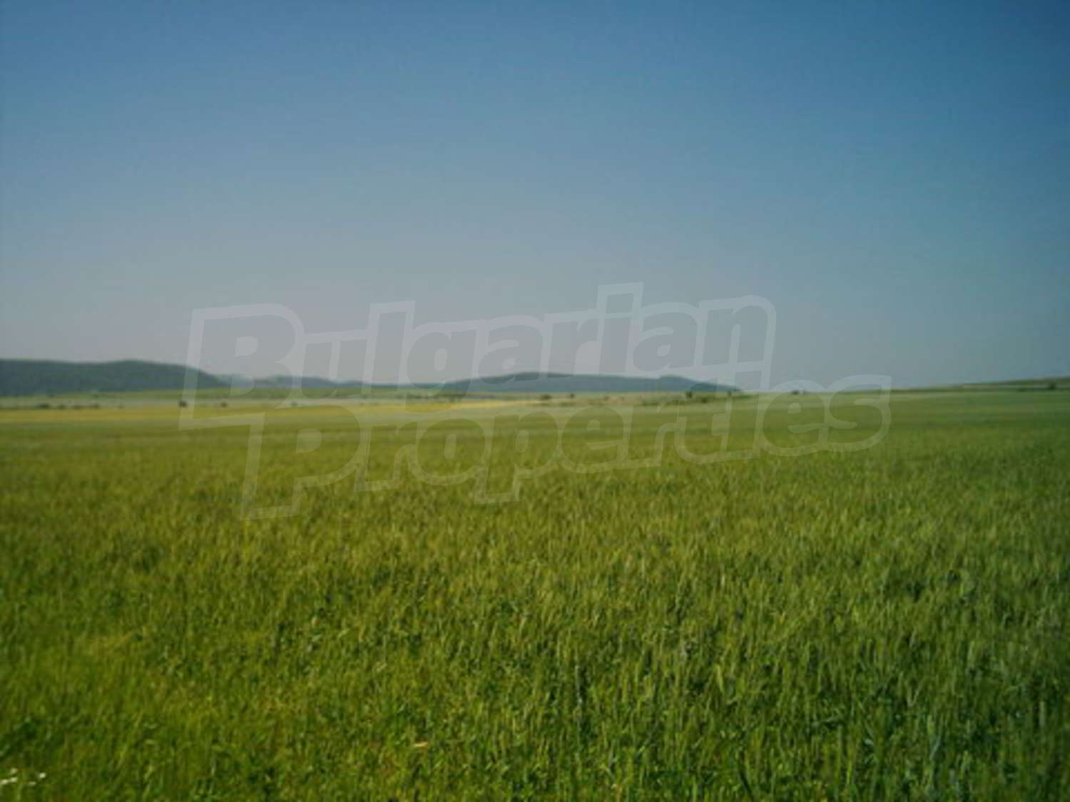 Gallery Picture 7