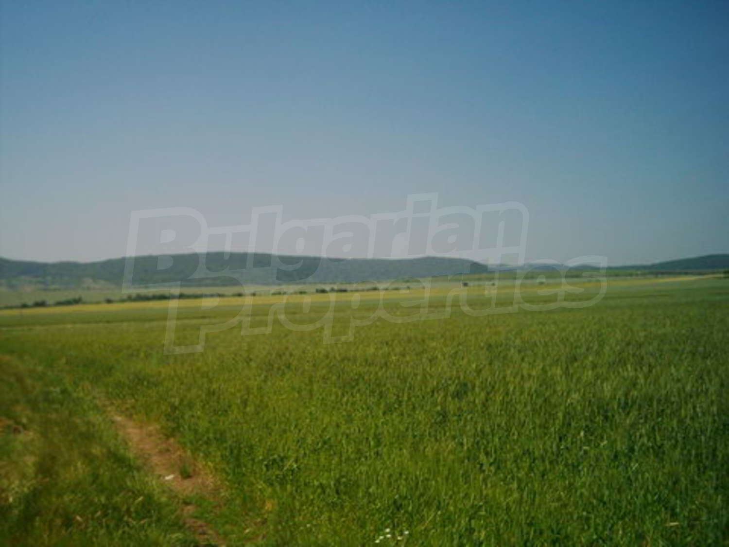 Gallery Picture 9