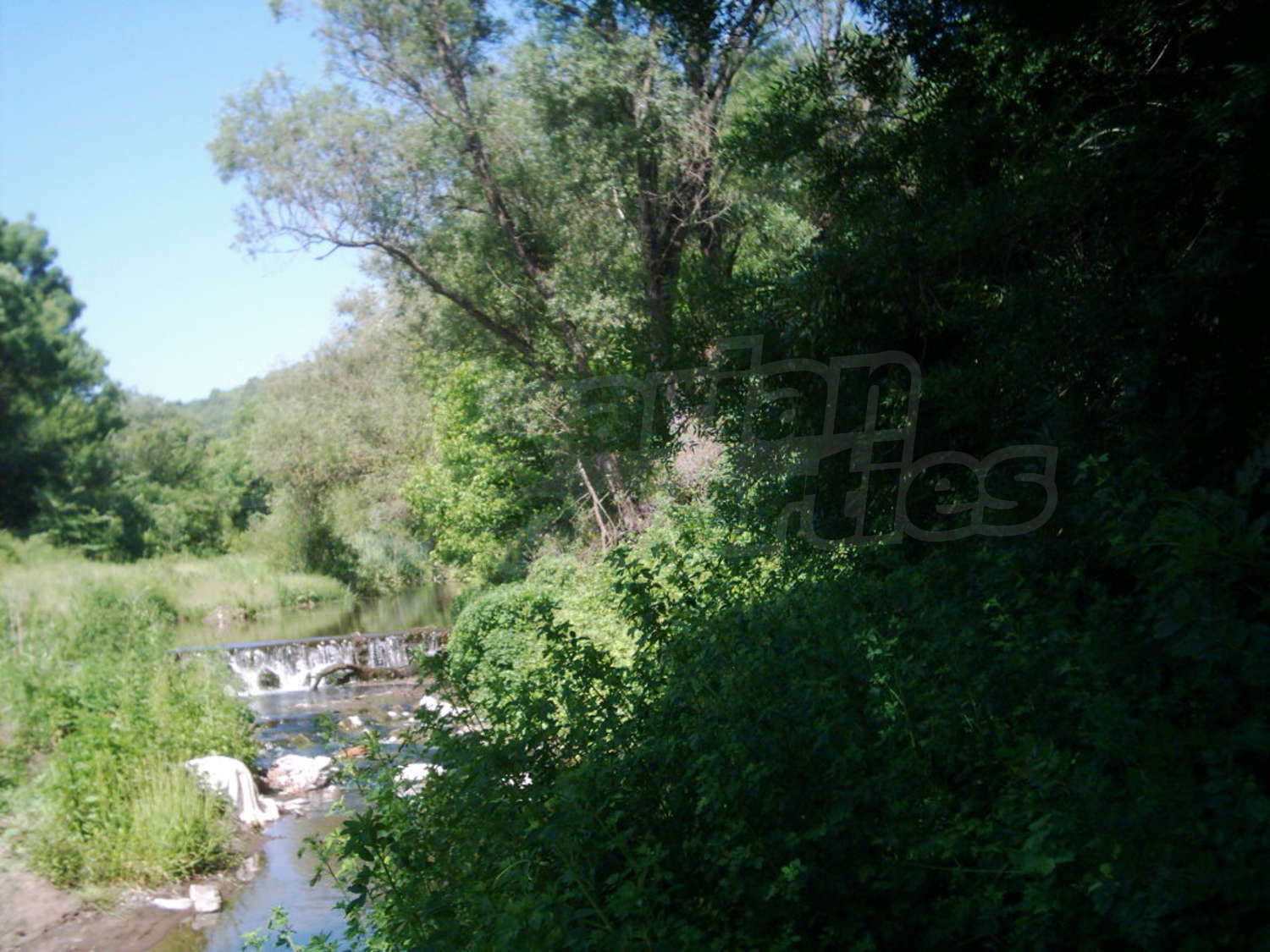 Gallery Picture 6