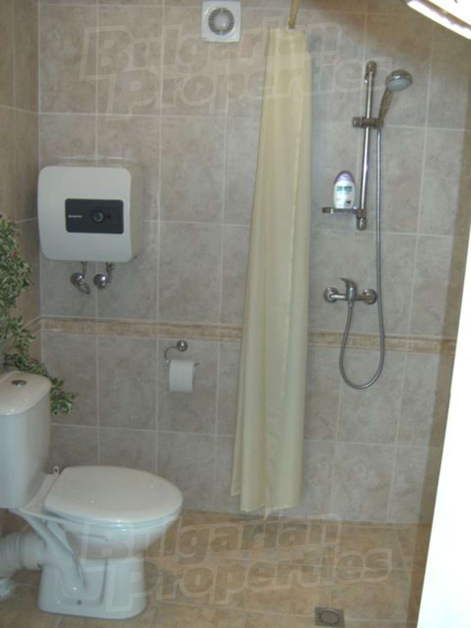 Gallery Picture 11