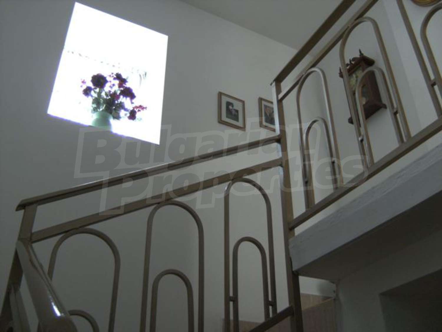 Gallery Picture 13