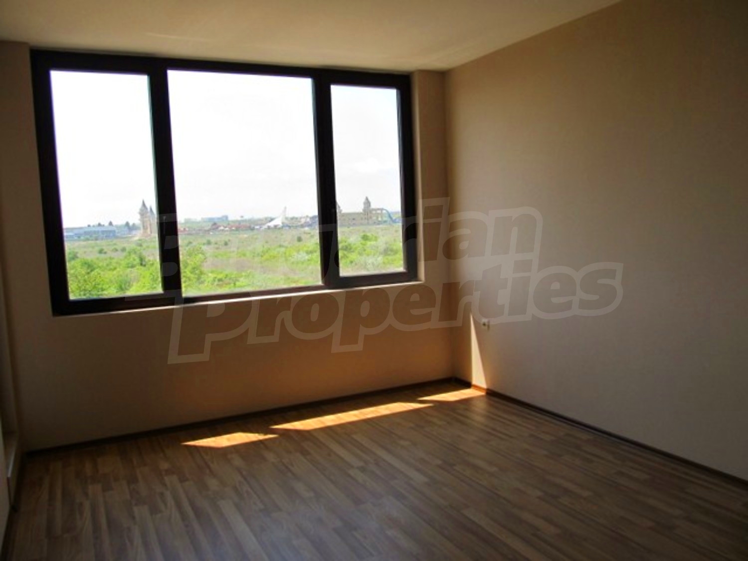 Gallery Picture 17