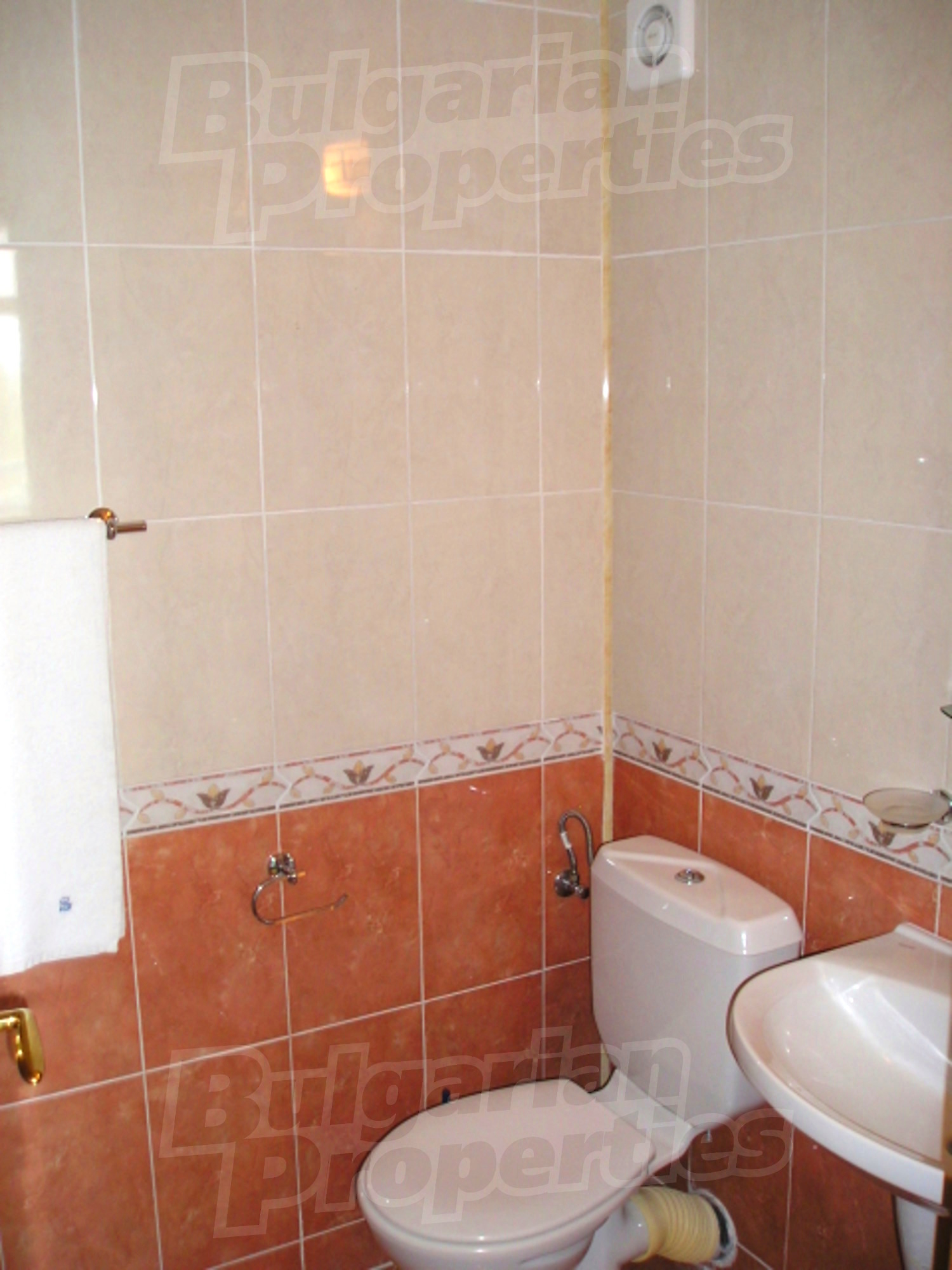 Gallery Picture 24