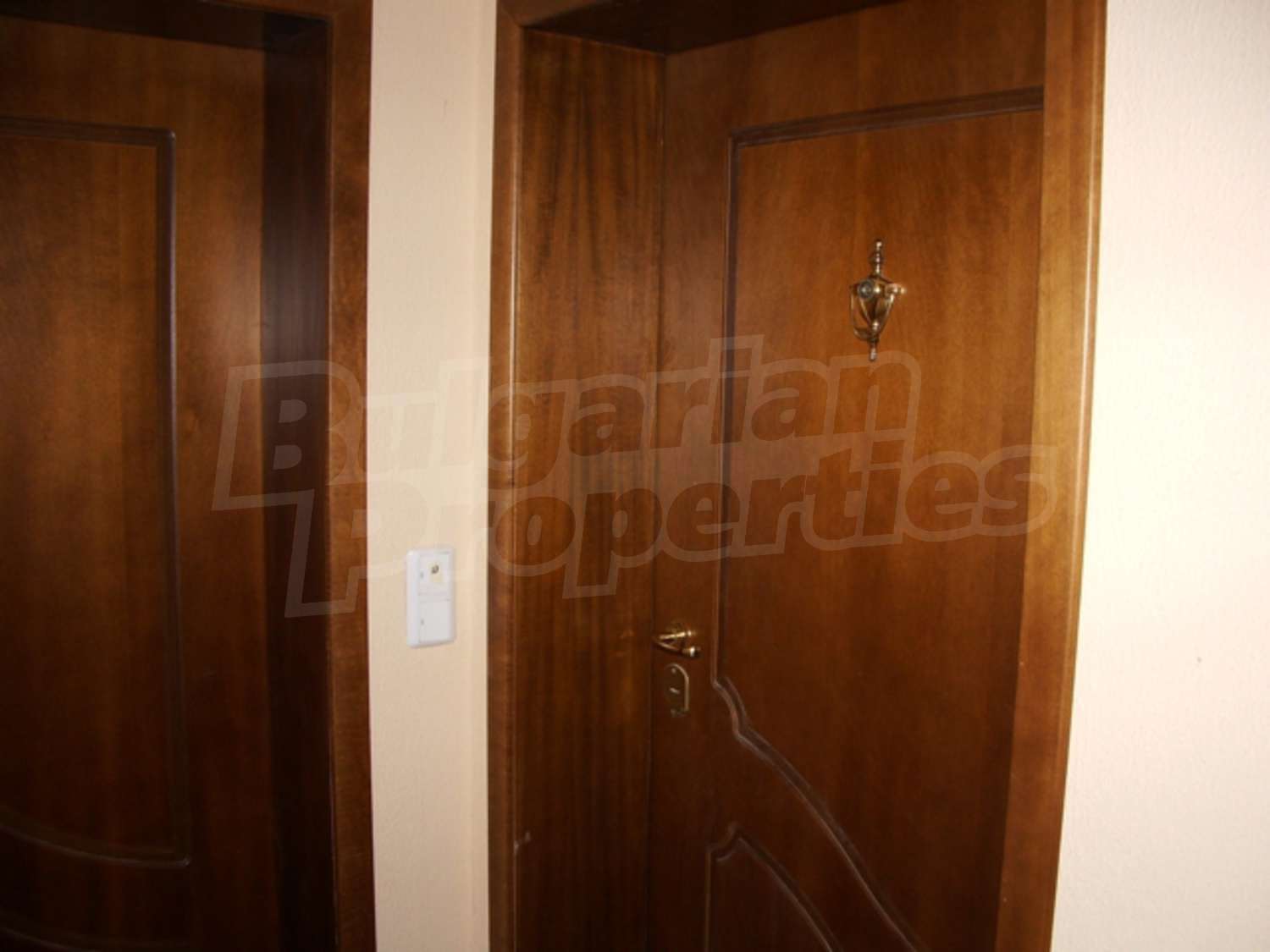 Gallery Picture 10