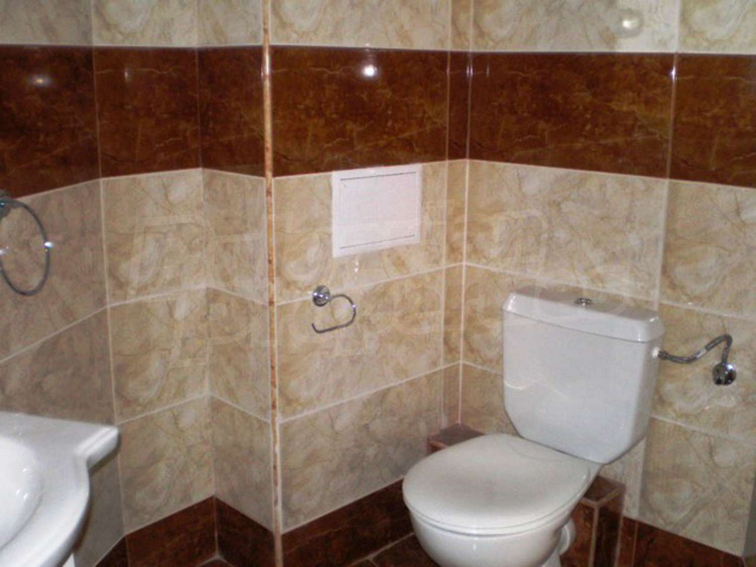 Gallery Picture 21