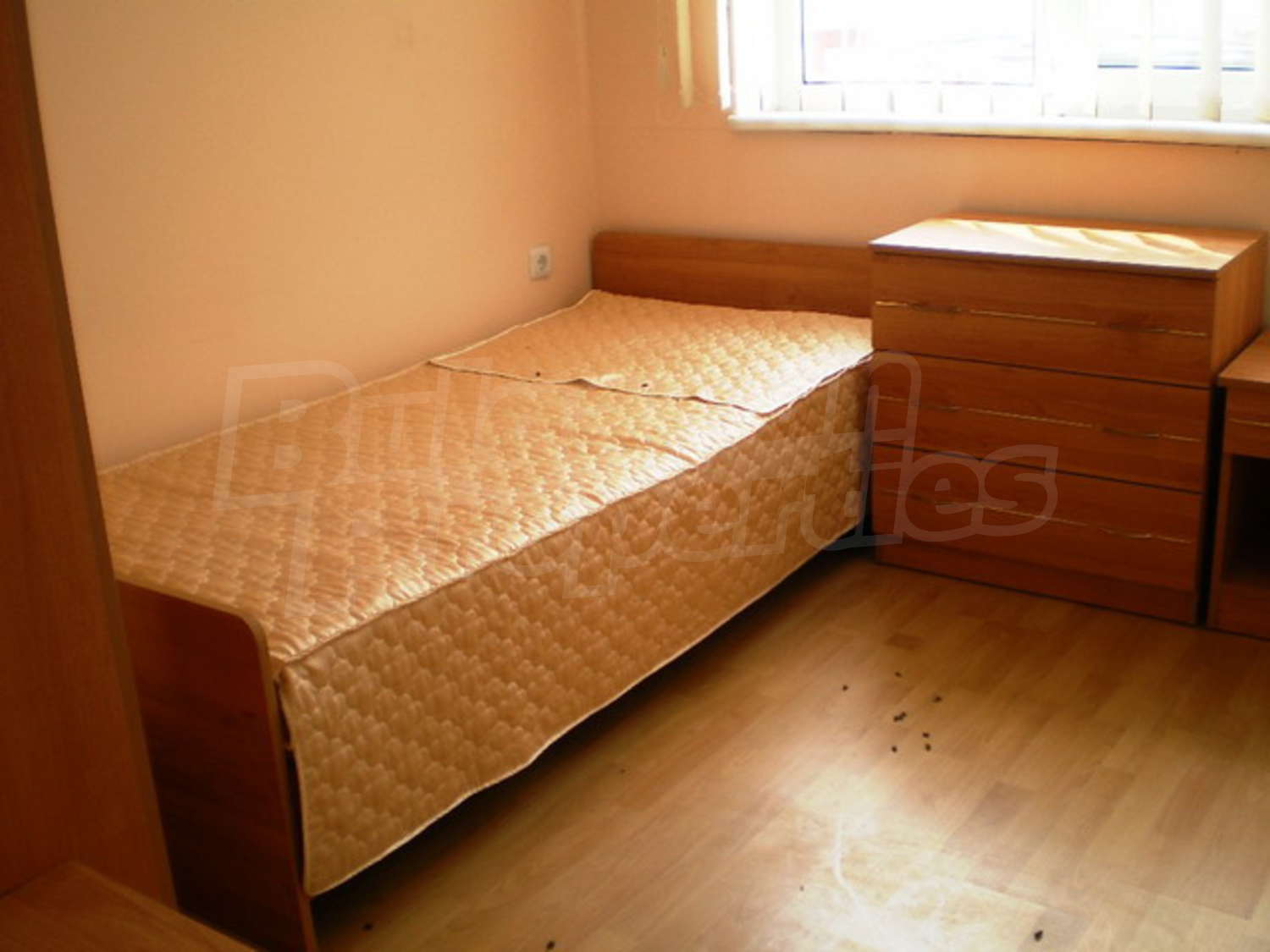 Gallery Picture 23
