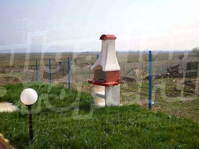 Gallery Picture 11