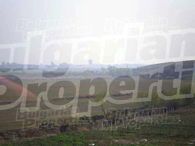 Gallery Picture 14