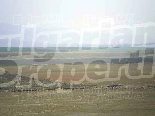 Gallery Picture 16