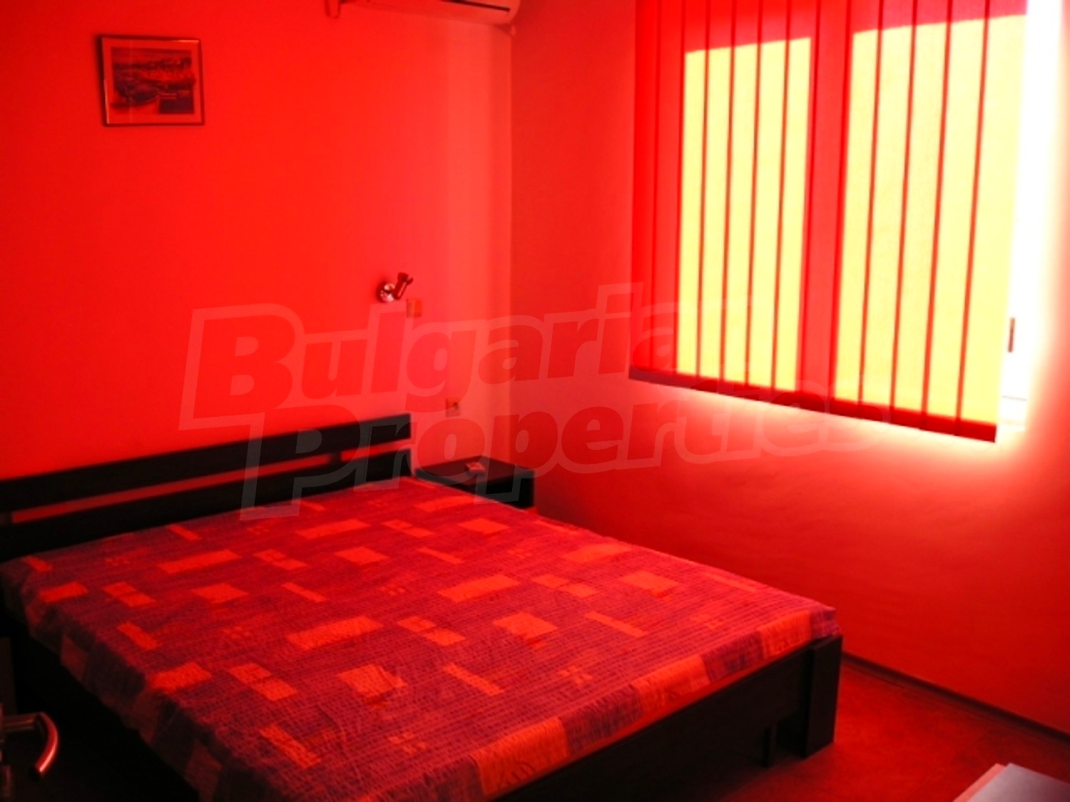 Gallery Picture 14