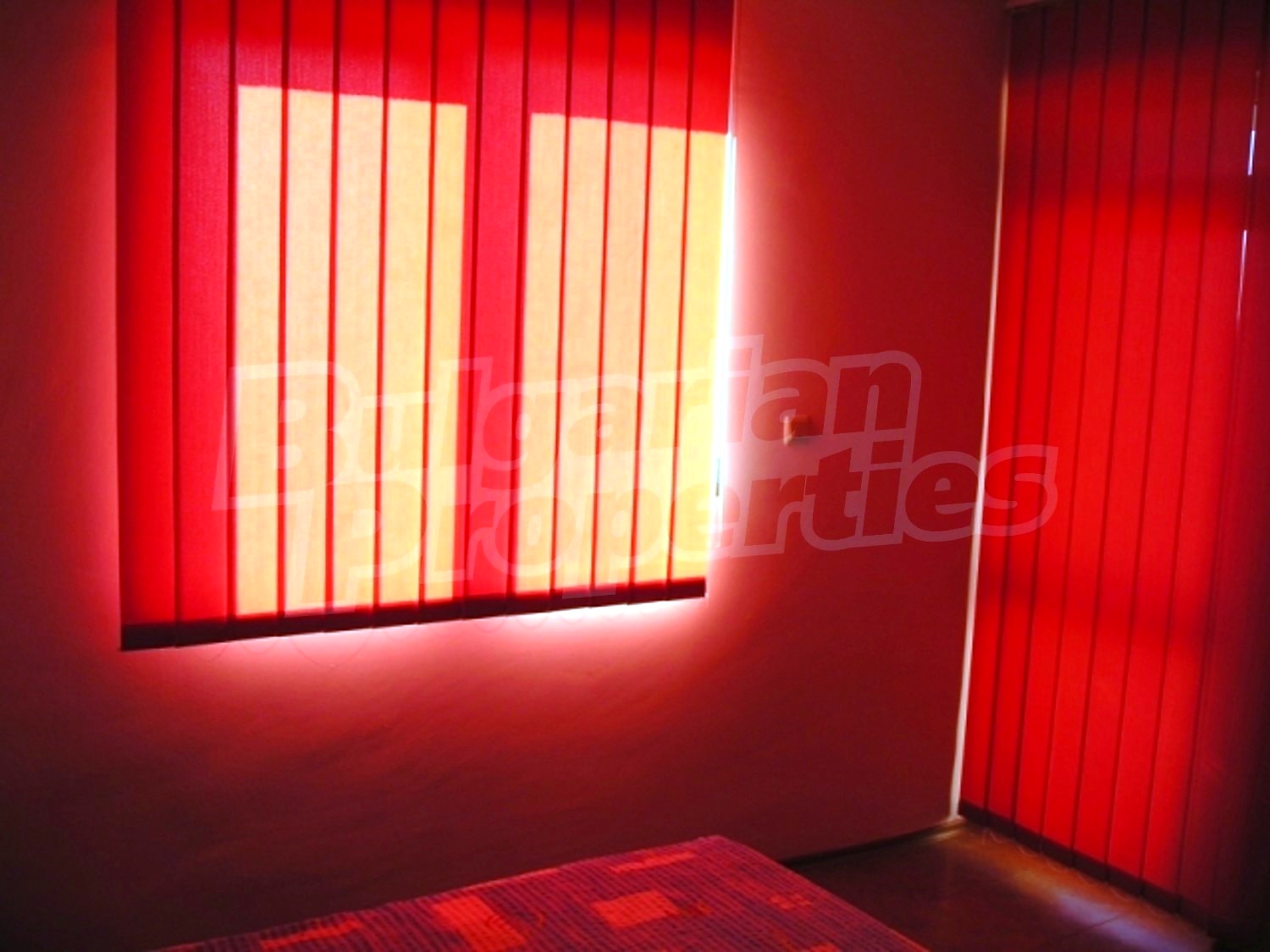 Gallery Picture 17