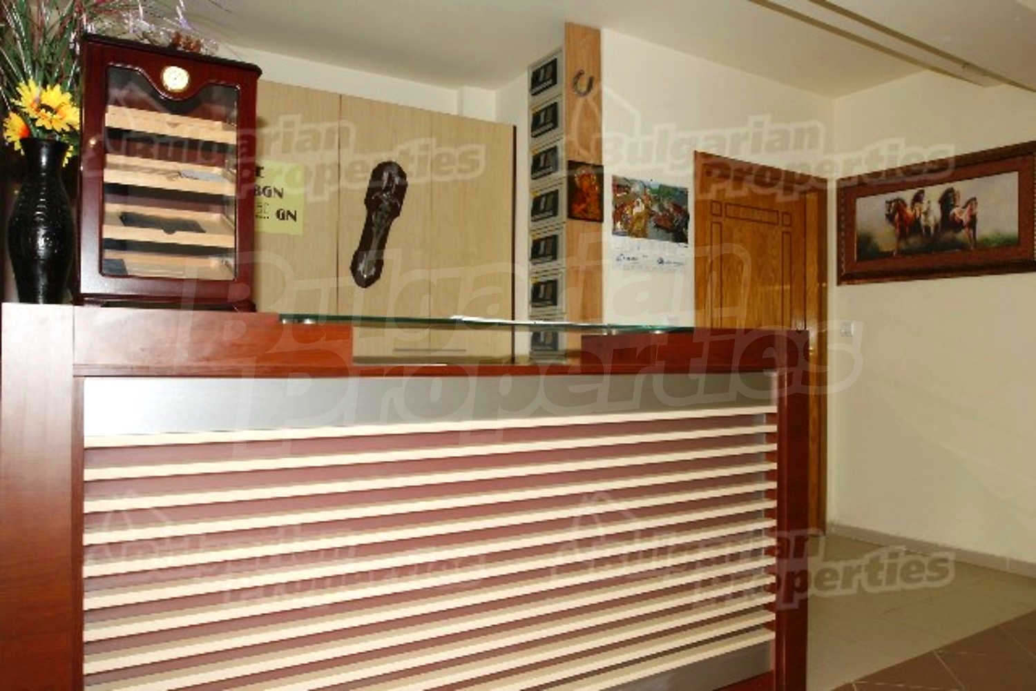 Gallery Picture 10