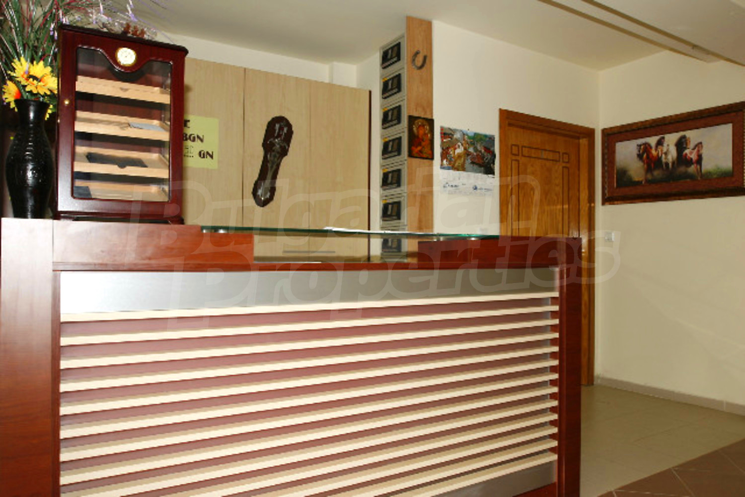 Gallery Picture 23