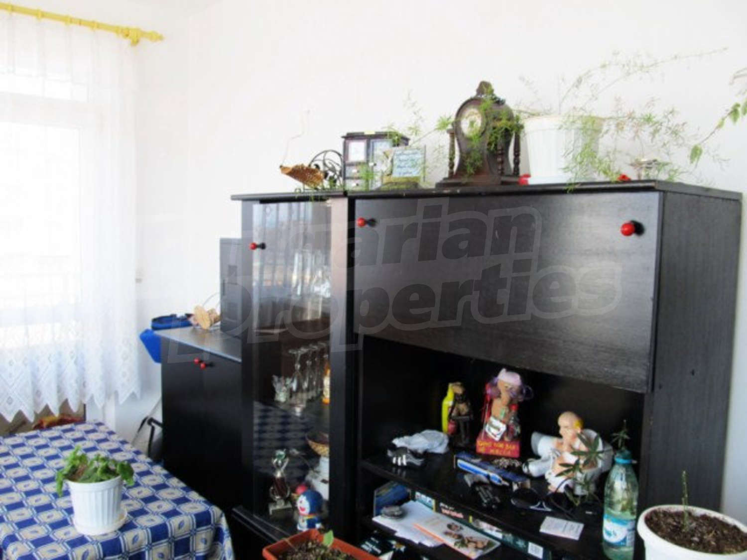 Gallery Picture 13