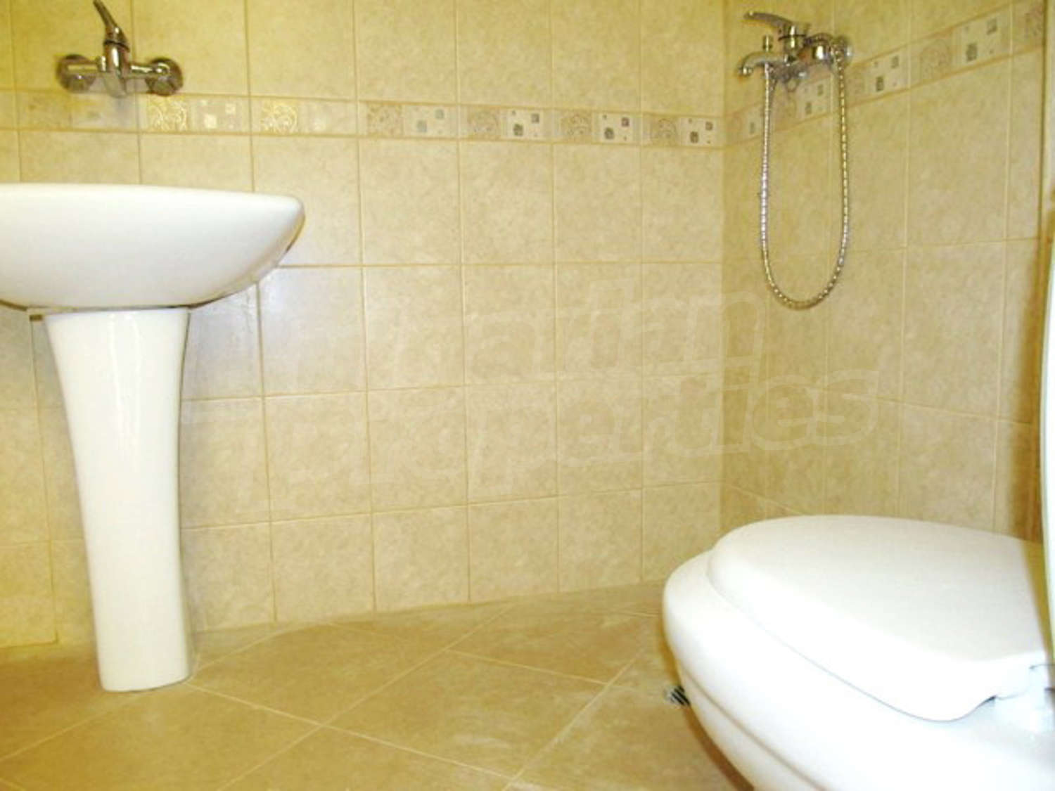 Gallery Picture 17