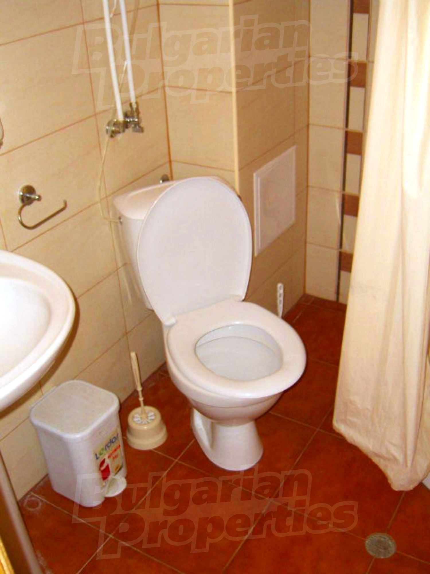 Gallery Picture 27