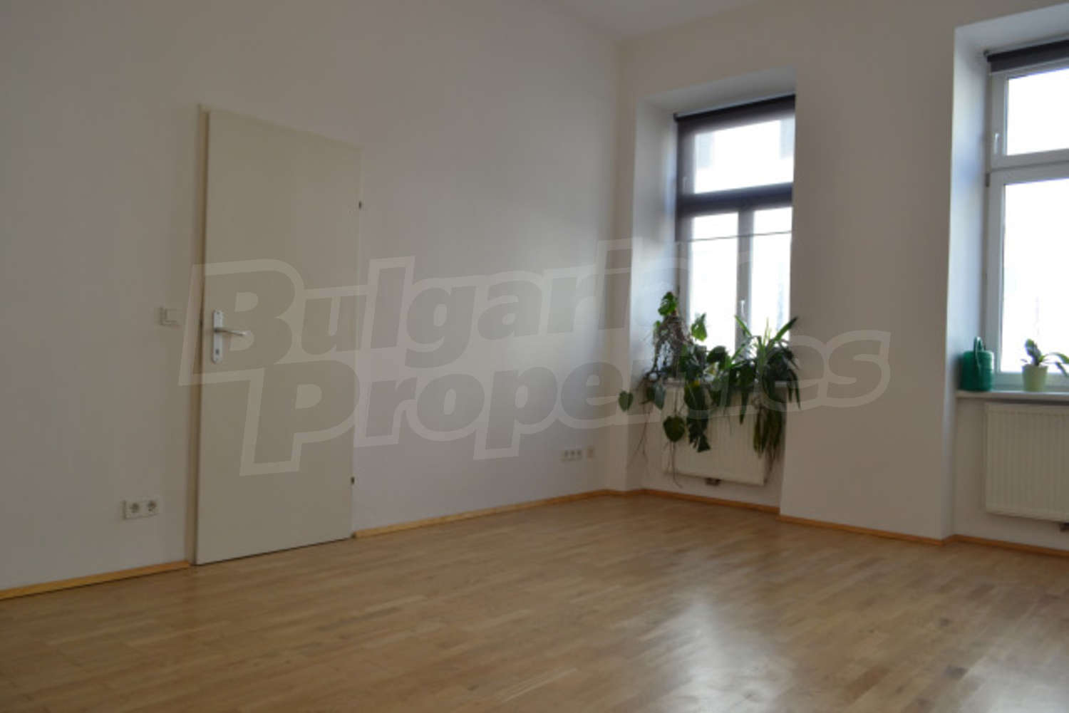 Gallery Picture 2
