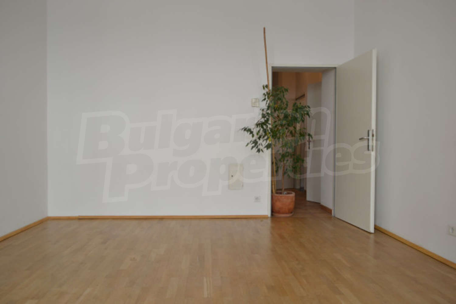 Gallery Picture 3