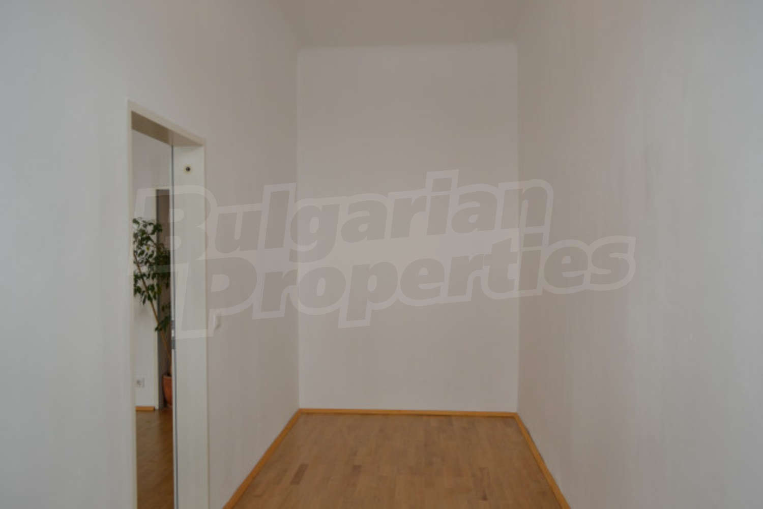 Gallery Picture 5