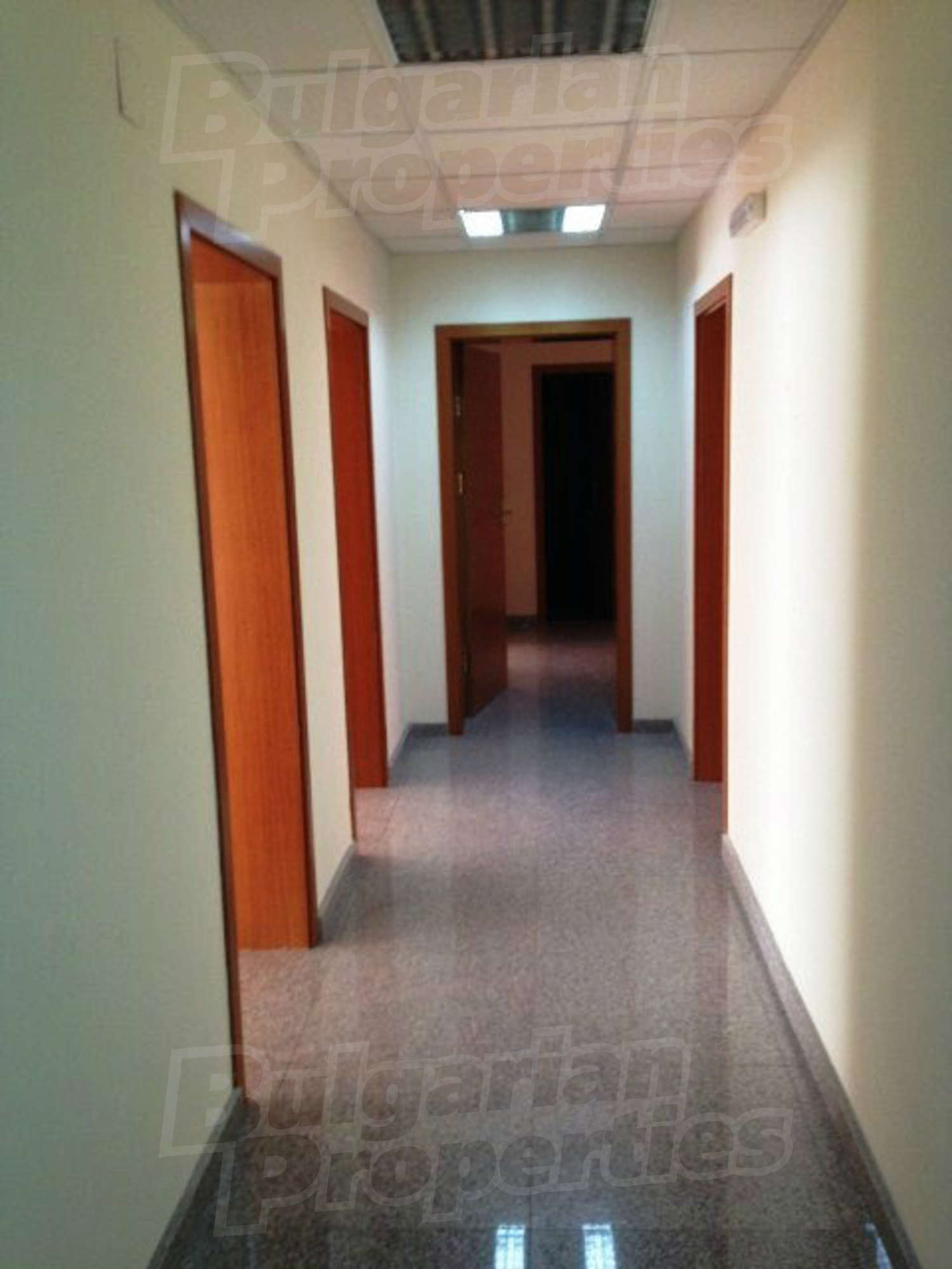 Gallery Picture 5