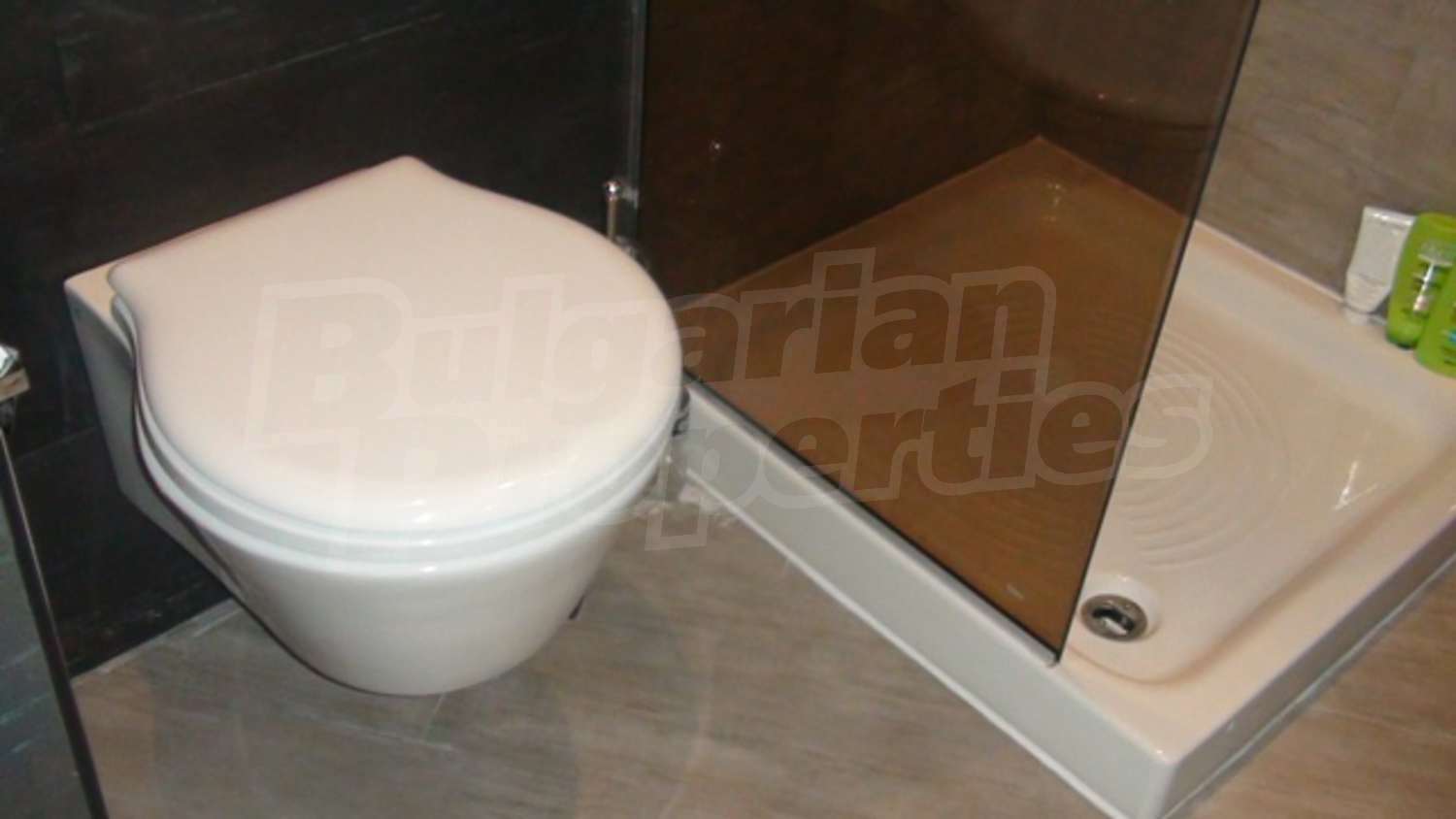 Gallery Picture 19