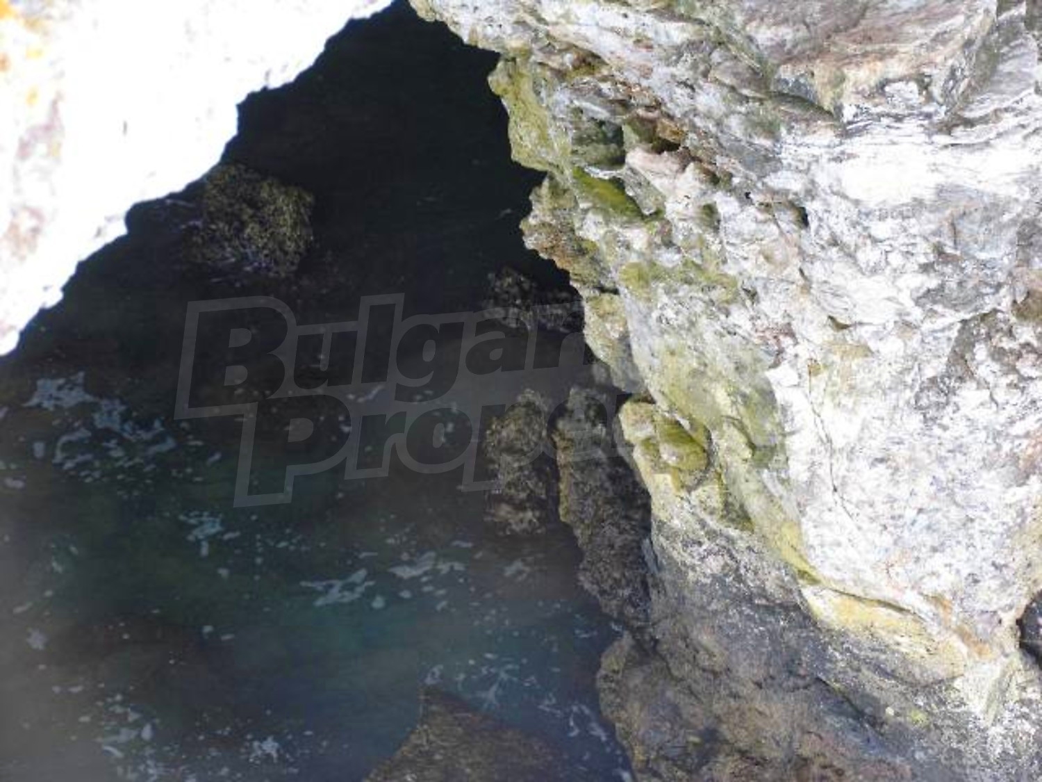 Gallery Picture 7