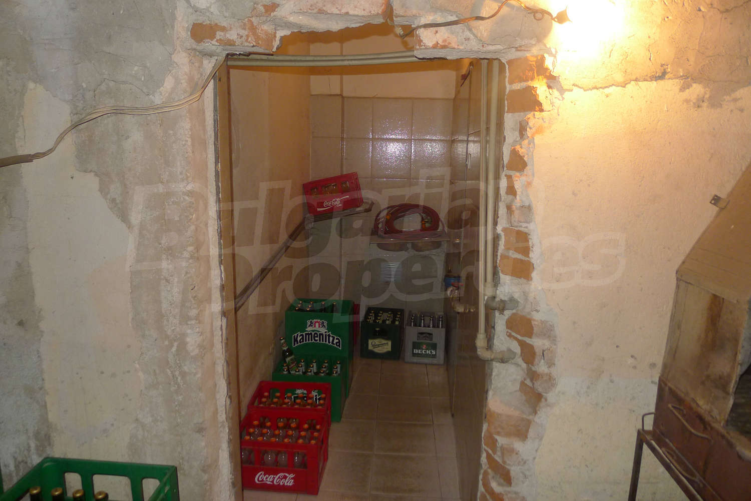 Gallery Picture 42