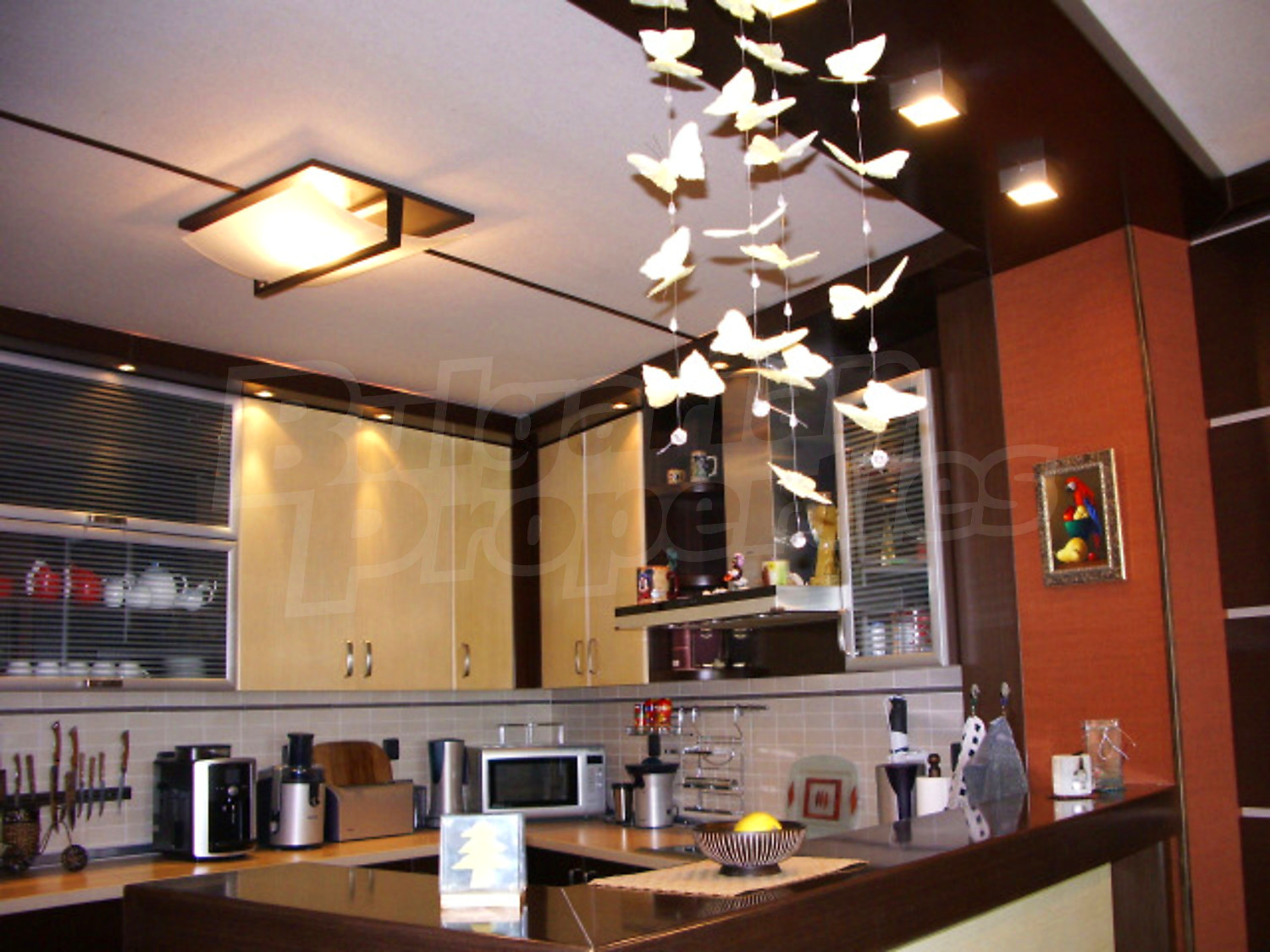 Gallery Picture 10