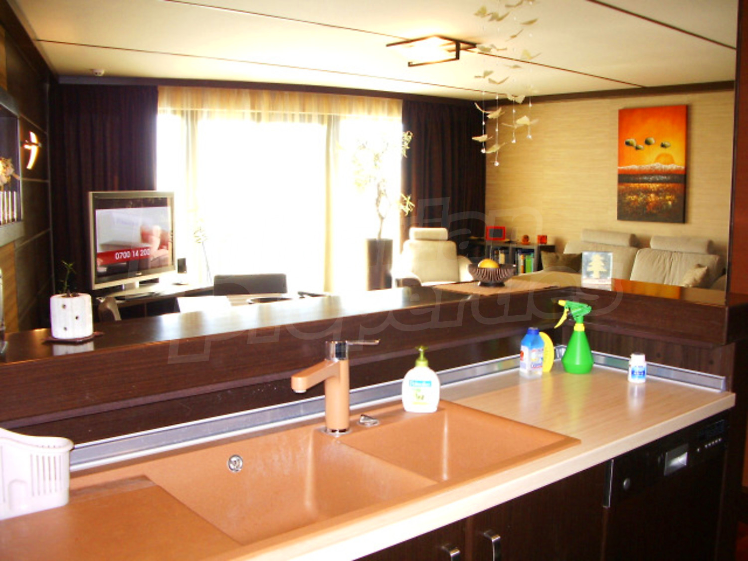 Gallery Picture 16
