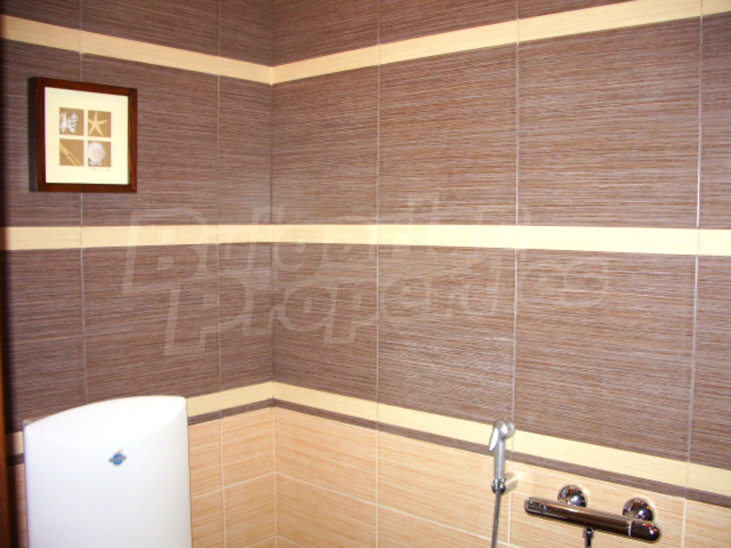 Gallery Picture 19