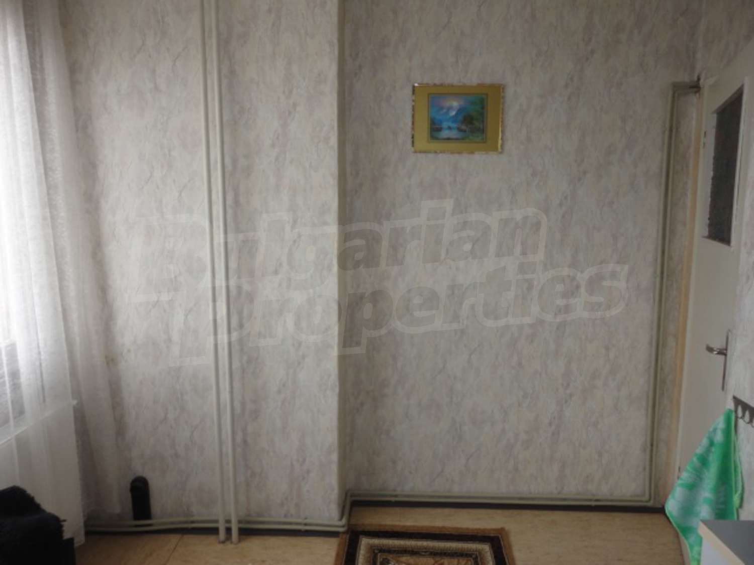 Gallery Picture 12