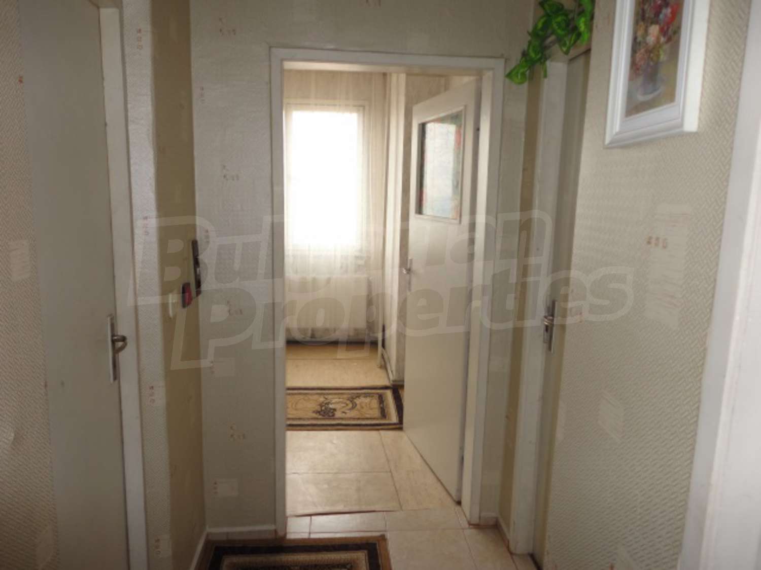 Gallery Picture 13