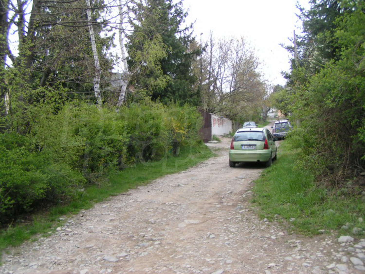 Gallery Picture 7