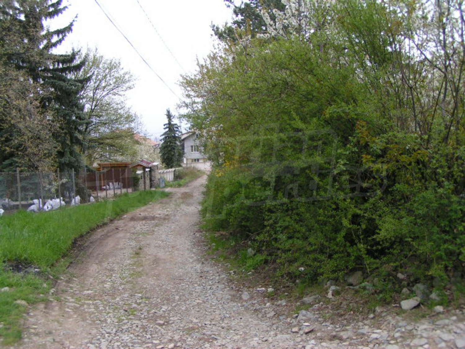 Gallery Picture 8