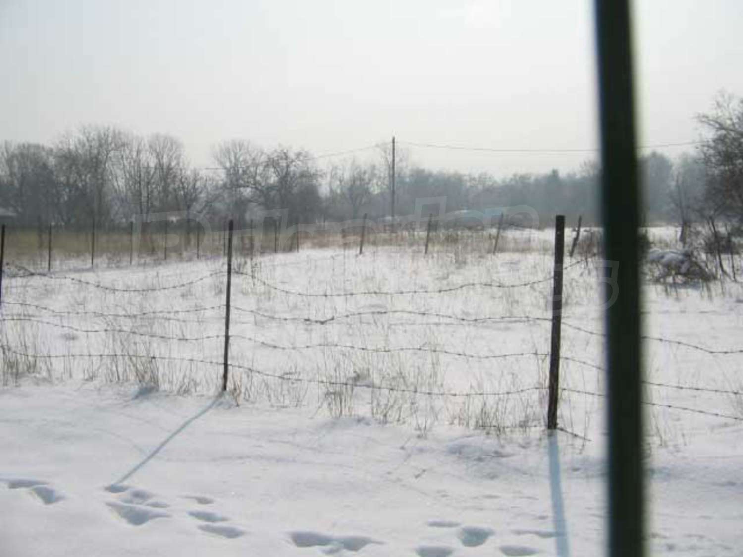 Gallery Picture 7