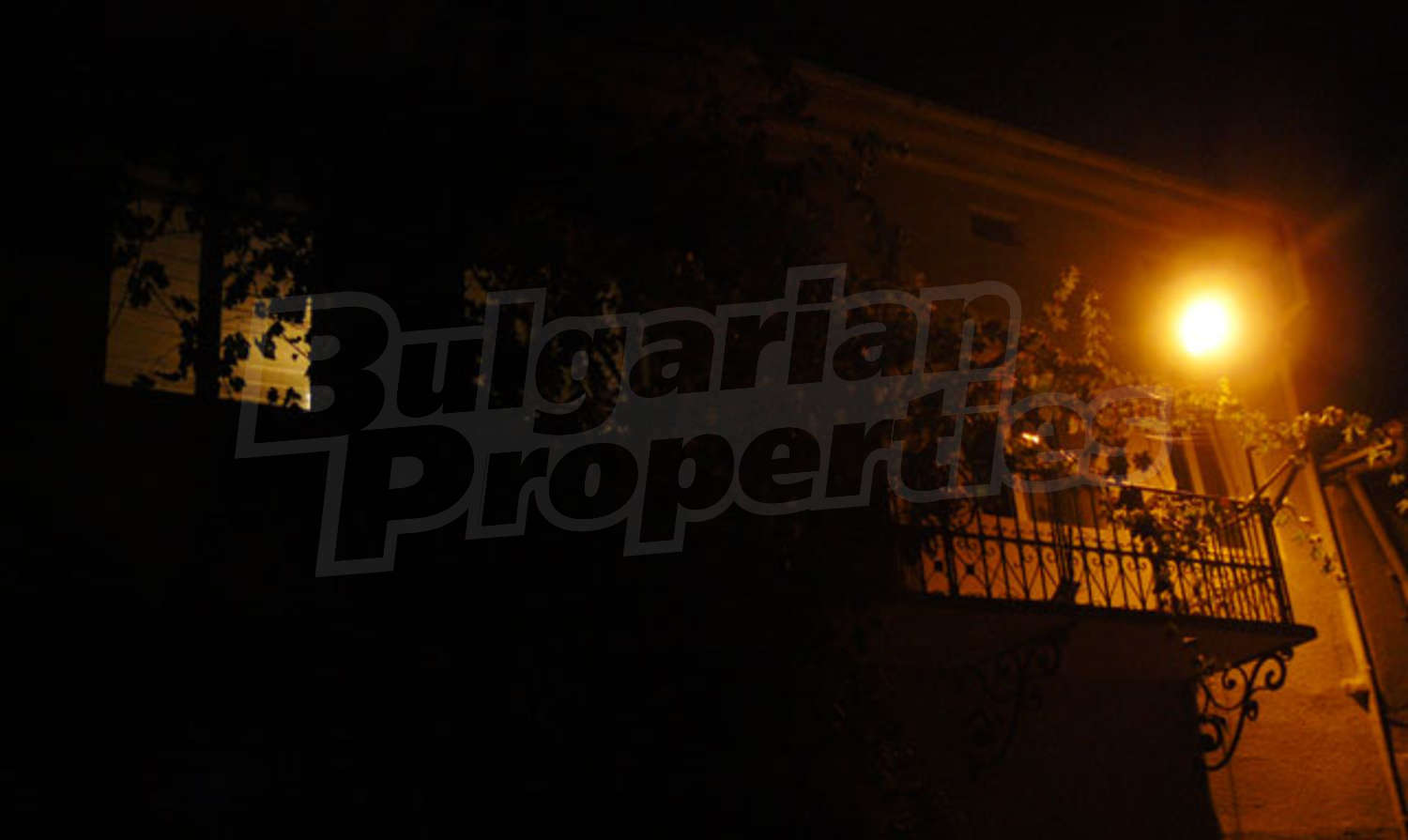 Gallery Picture 11