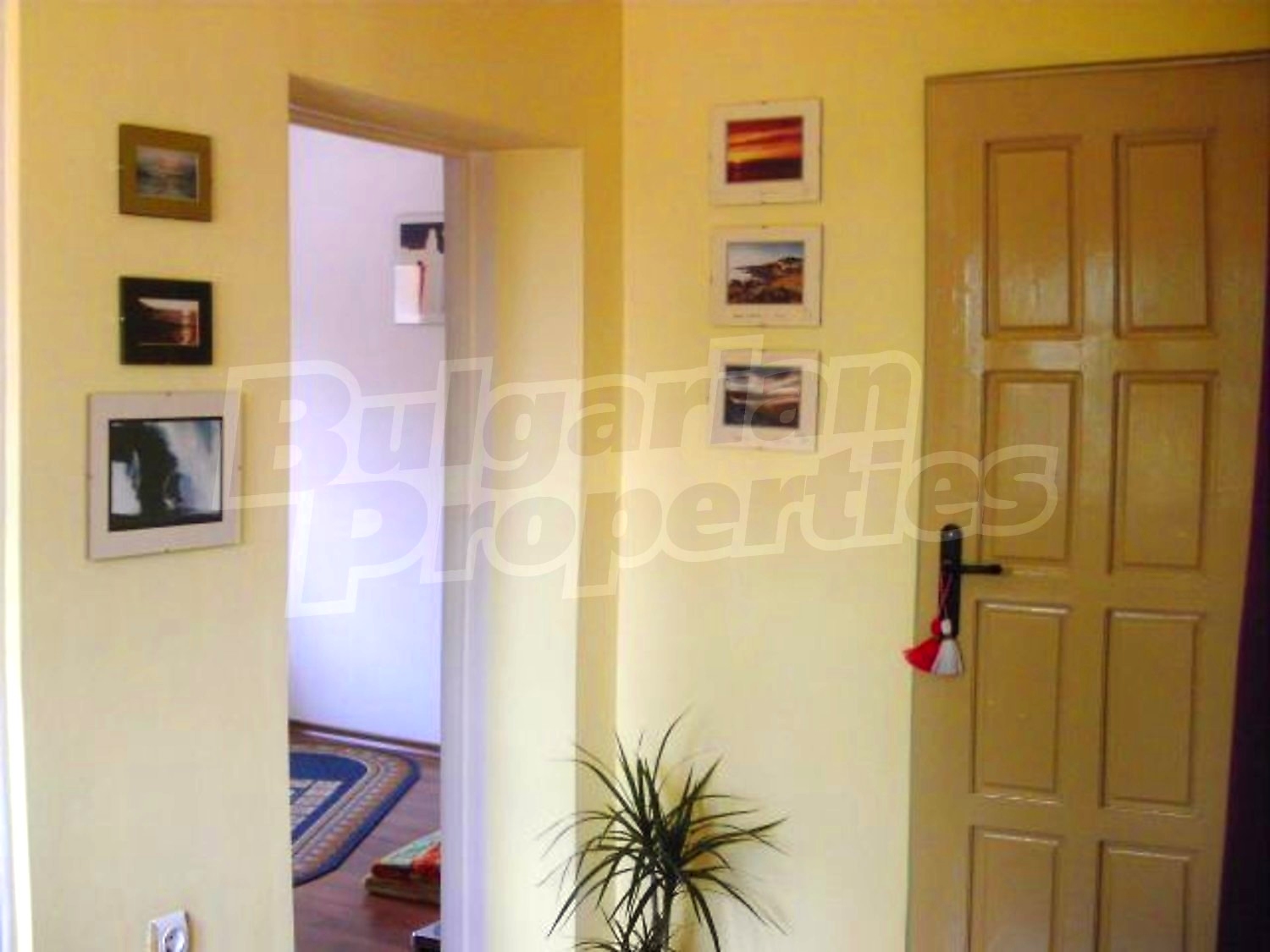 Gallery Picture 13