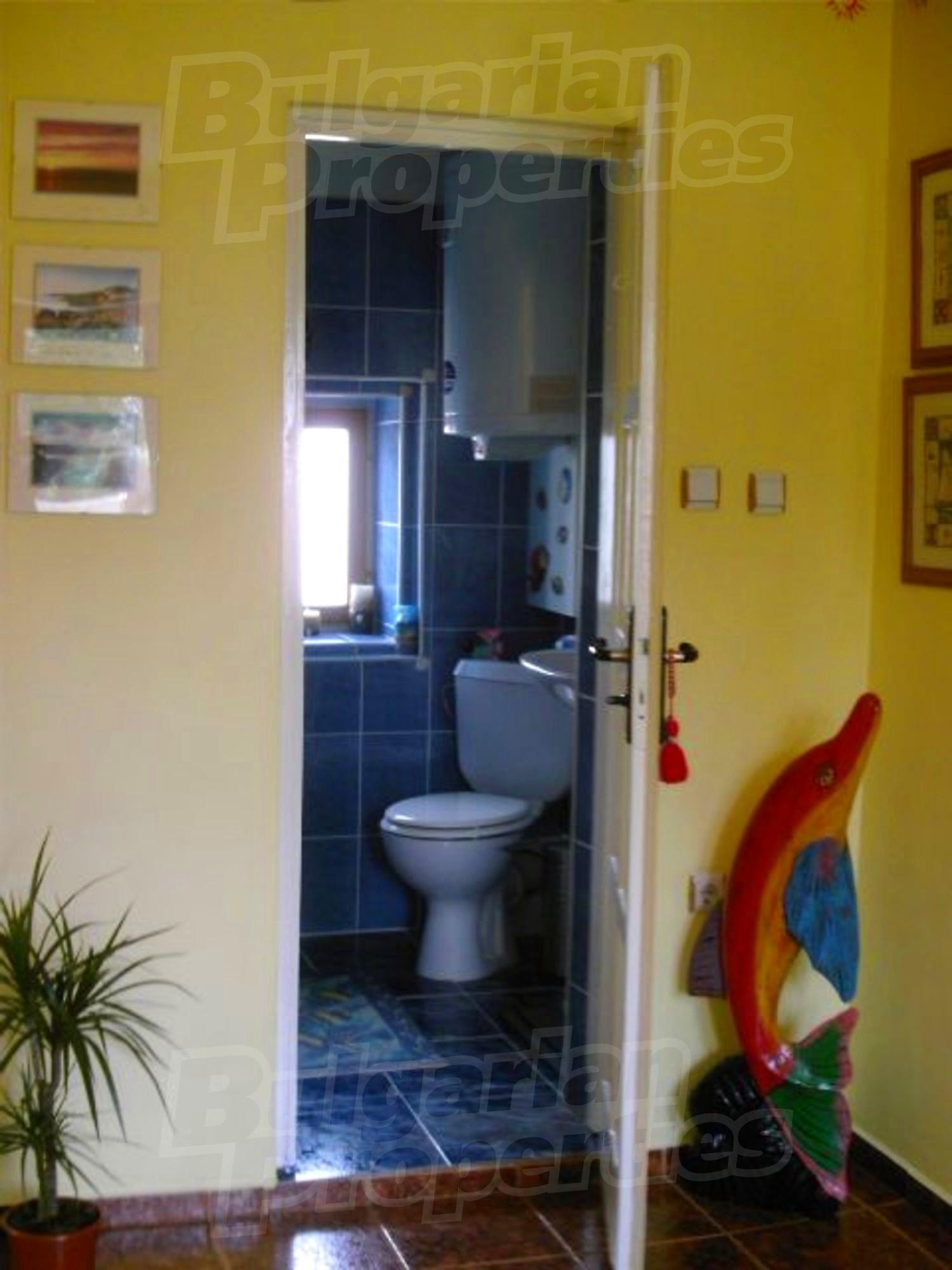 Gallery Picture 16