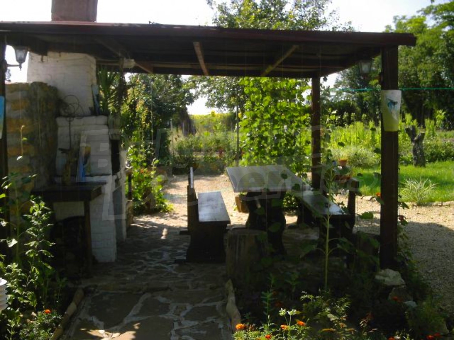 Gallery Picture 18