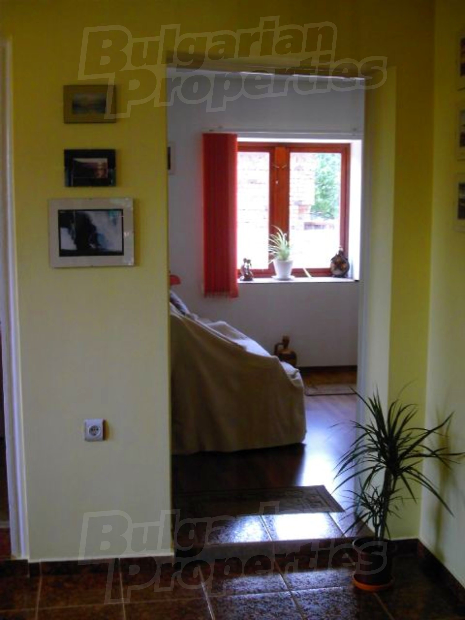 Gallery Picture 8