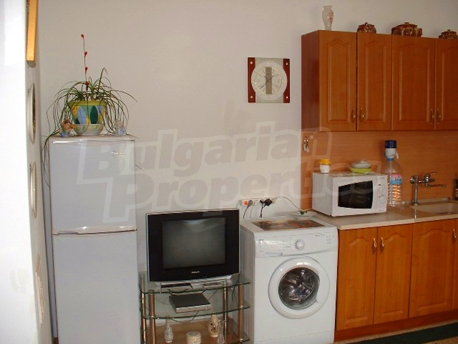 Gallery Picture 16