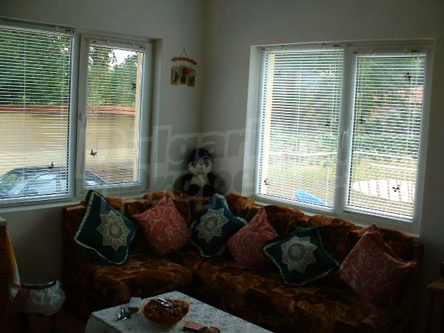 Gallery Picture 17