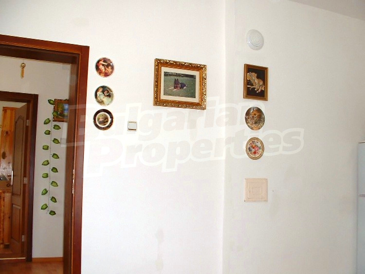 Gallery Picture 19