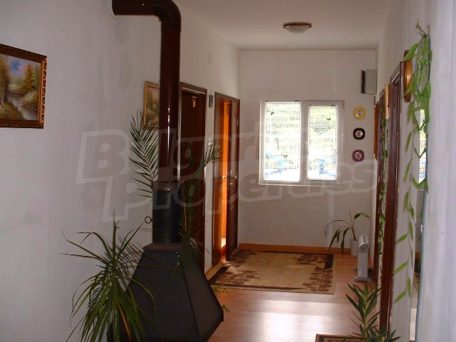 Gallery Picture 23