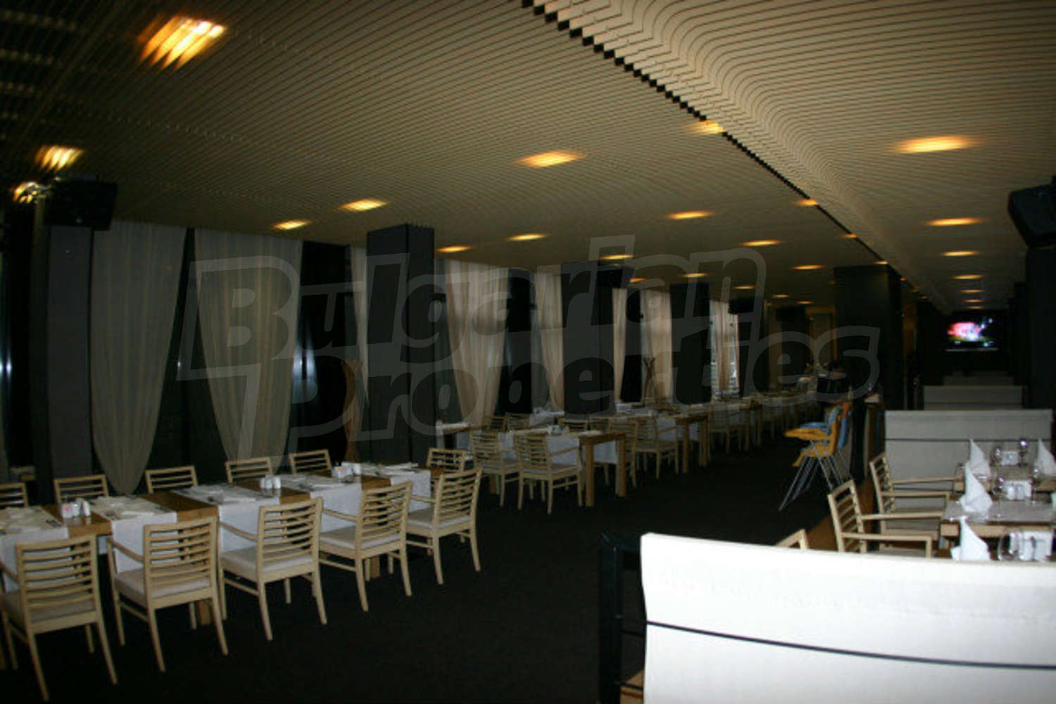 Gallery Picture 13