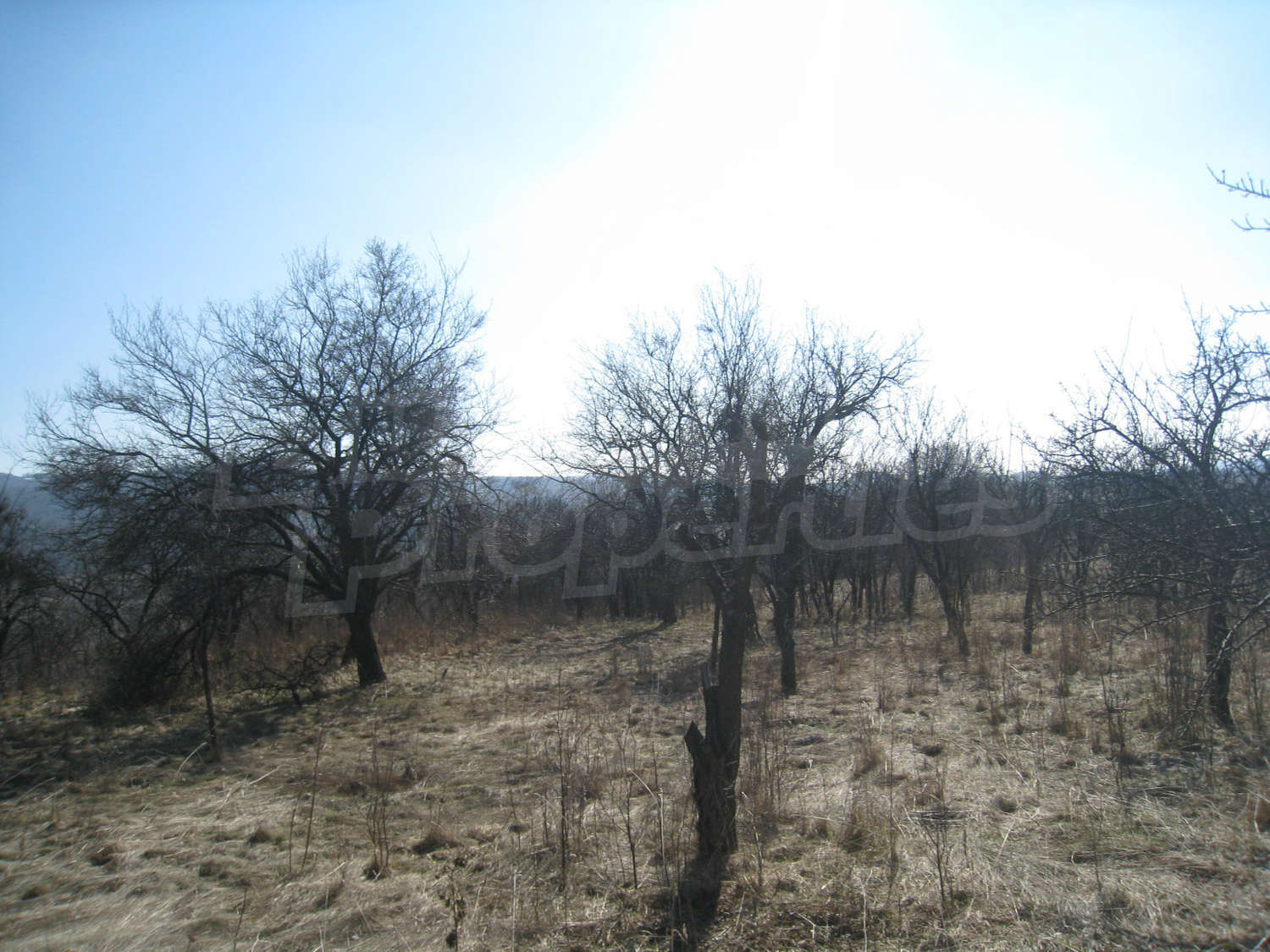 Gallery Picture 11