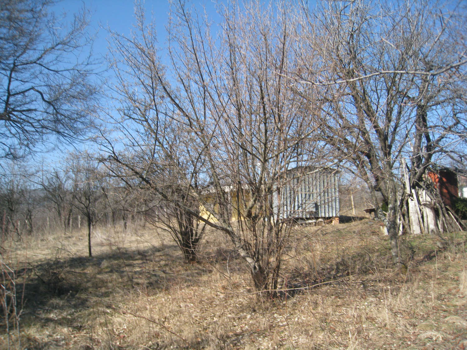 Gallery Picture 13