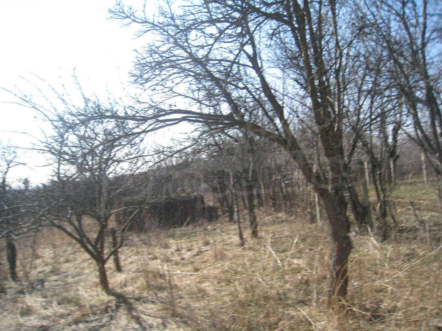 Gallery Picture 15