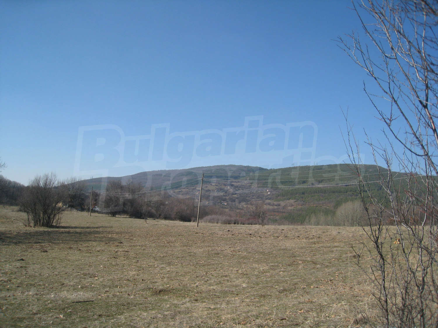 Gallery Picture 18